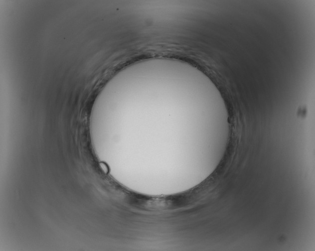 X0000112090225200908041056