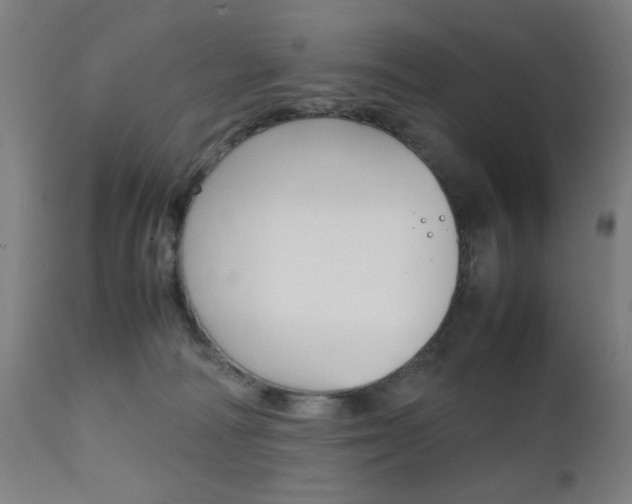 X0000112090226200908041056