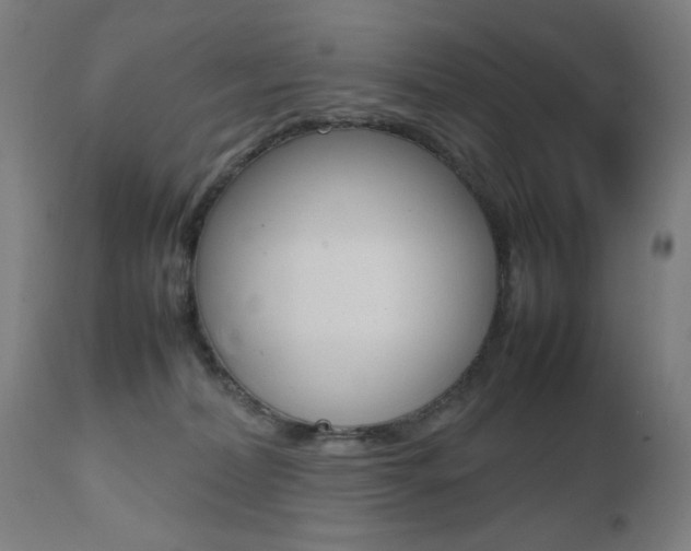 X0000112090228200908041056