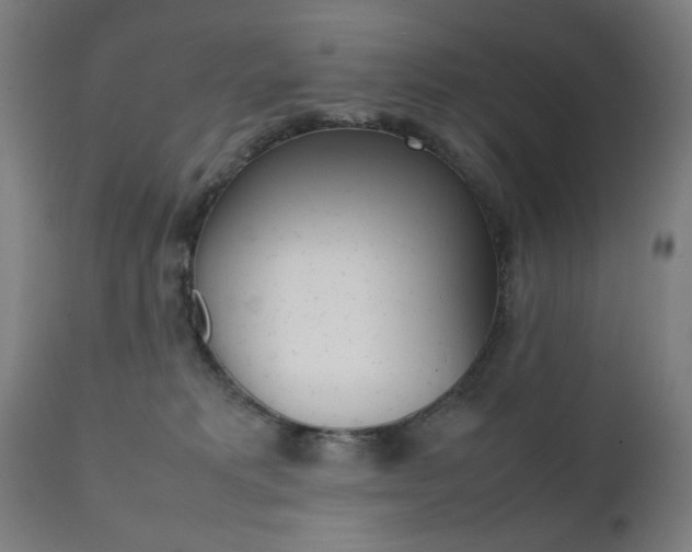 X0000112090229200908041056