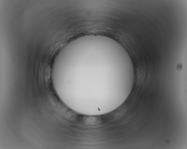 X0000112090230200908041056
