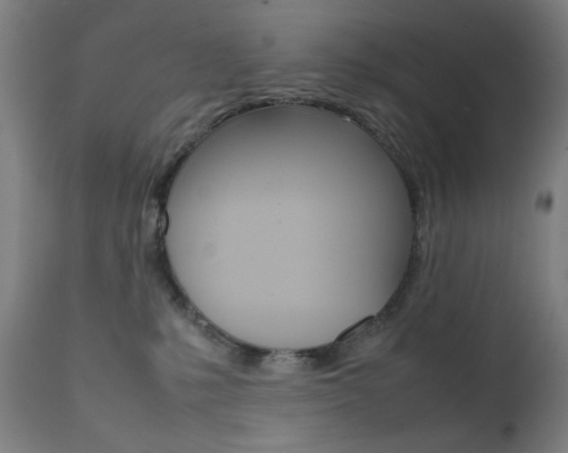 X0000112090231200908041056