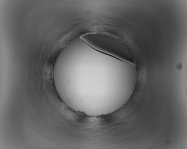 X0000112090233200908041056