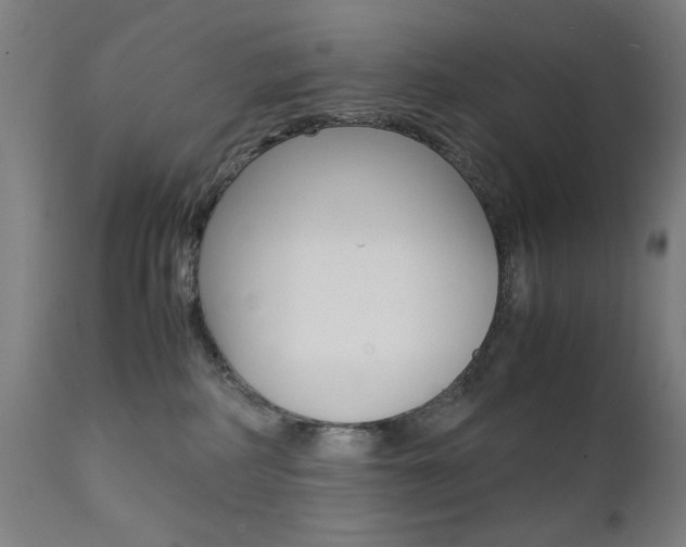 X0000112090234200908041056