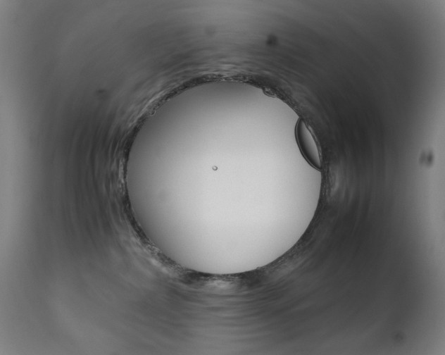 X0000112090236200908041055