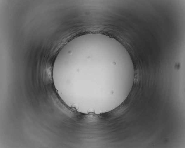 X0000112090238200908041055