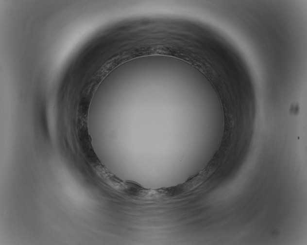X0000112090239200908041055