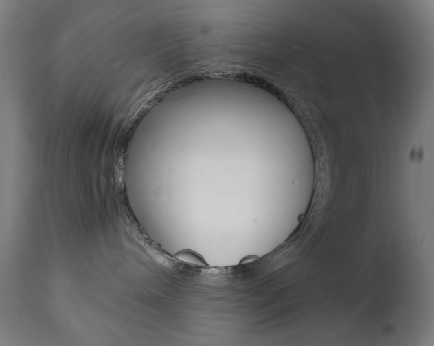 X0000112090240200908041055