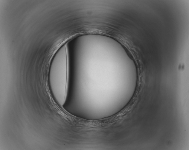 X0000112090241200908041055