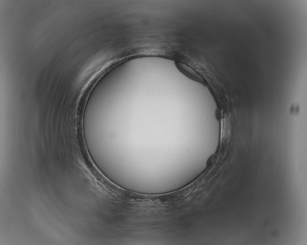X0000112090243200908041055