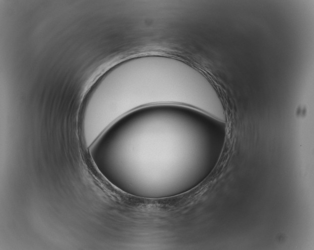 X0000112090244200908041055
