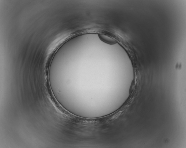 X0000112090245200908041055
