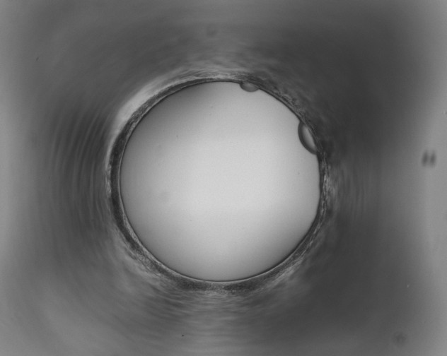 X0000112090246200908041055