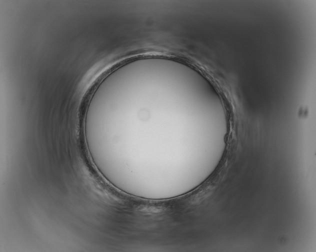 X0000112090247200908041055