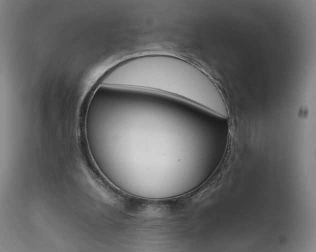 X0000112090248200908041055