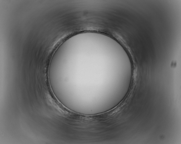 X0000112090249200908041055