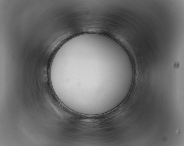 X0000112090251200908041055