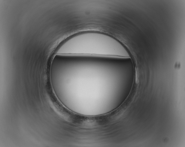 X0000112090252200908041055