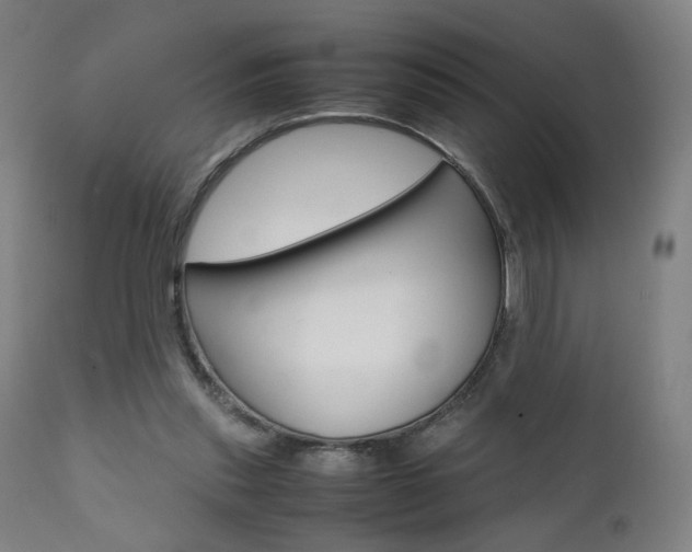X0000112090253200908041055