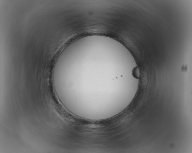 X0000112090255200908041055