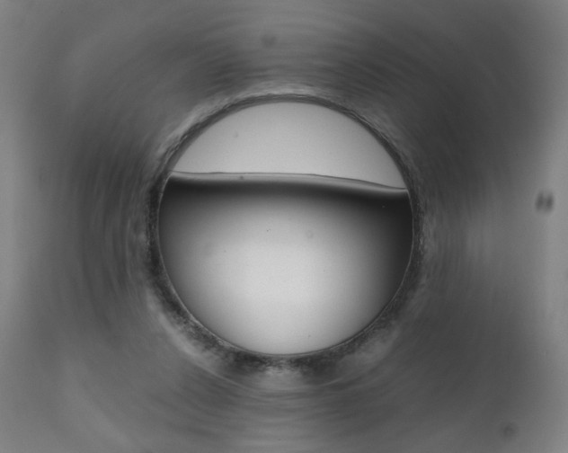 X0000112090256200908041055