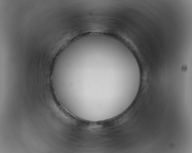 X0000112090257200908041055