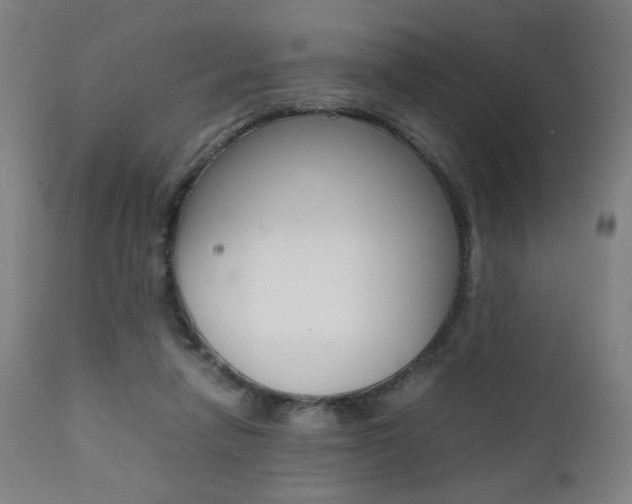 X0000112090258200908041055