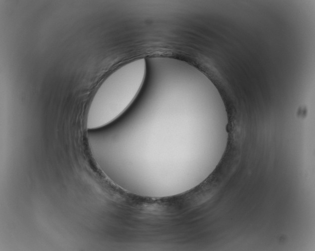 X0000112090259200908041055