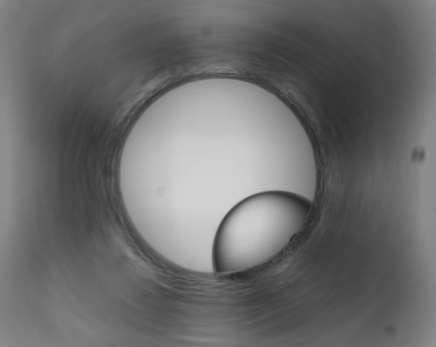 X0000112090260200908041055