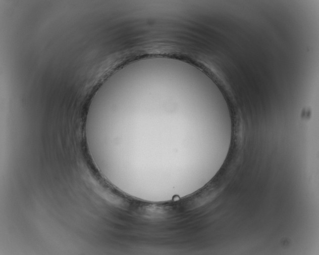 X0000112090261200908041055