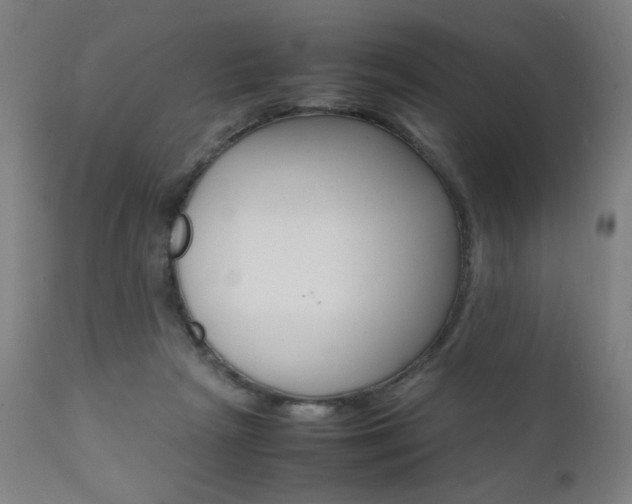 X0000112090265200908041055