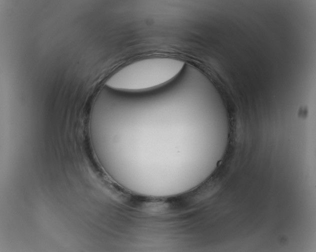 X0000112090266200908041055