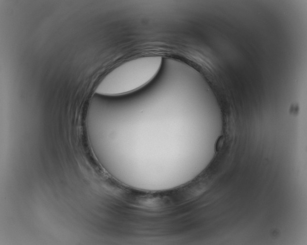 X0000112090267200908041055