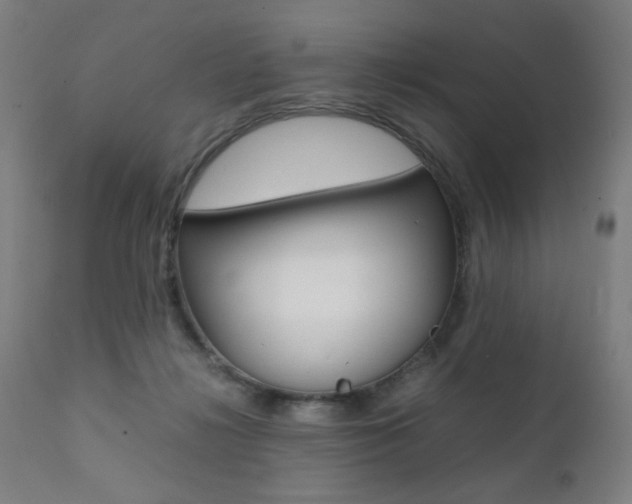 X0000112090268200908041055