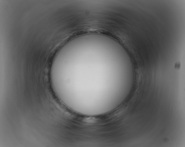 X0000112090269200908041055