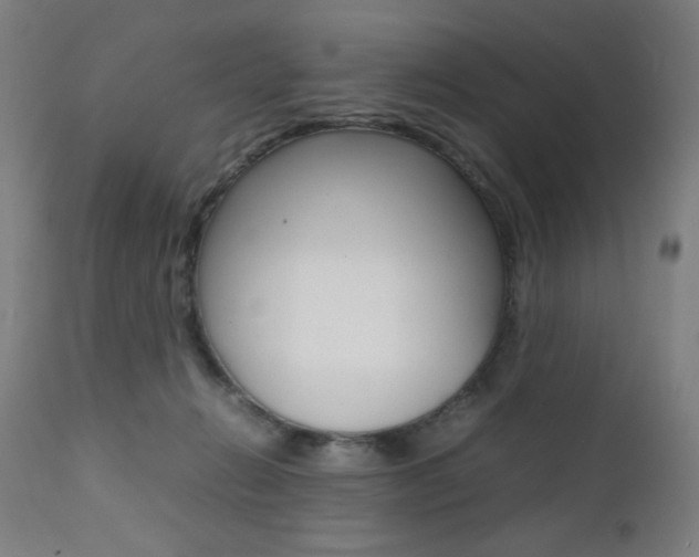 X0000112090270200908041055