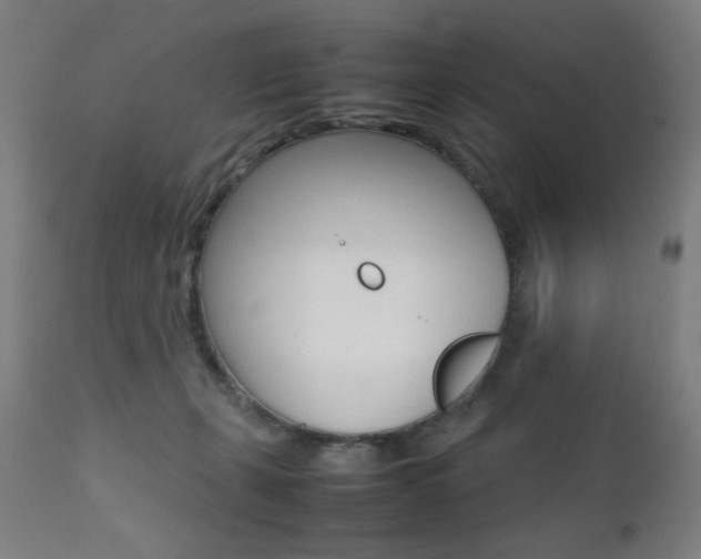 X0000112090271200908041055
