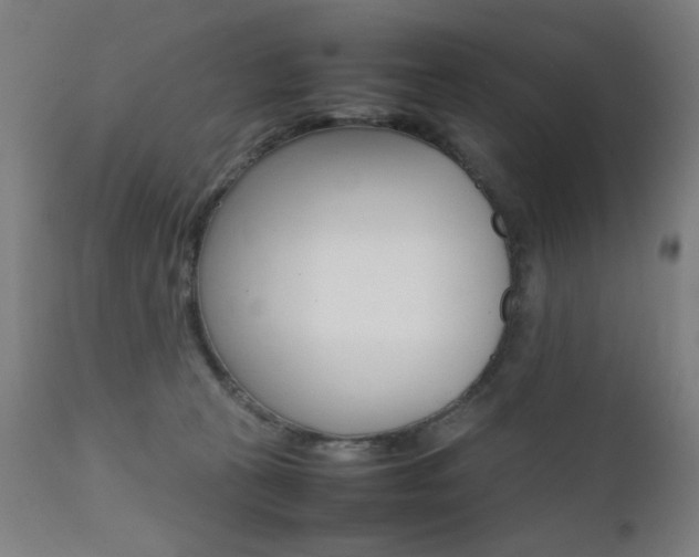 X0000112090273200908041055