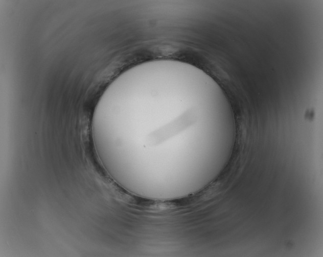 X0000112090274200908041055