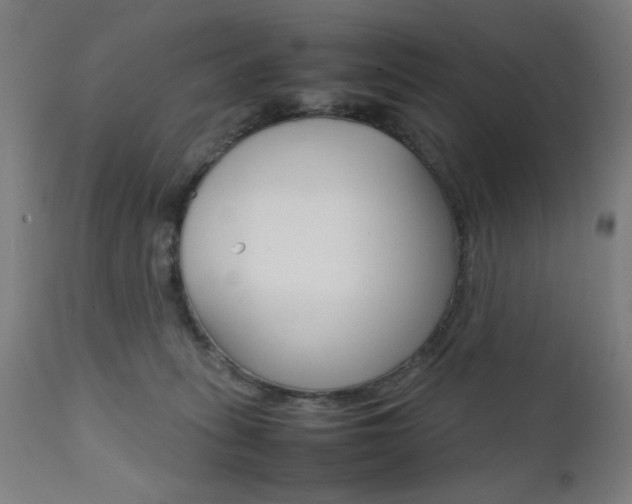X0000112090275200908041055