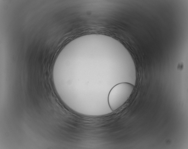 X0000112090276200908041055