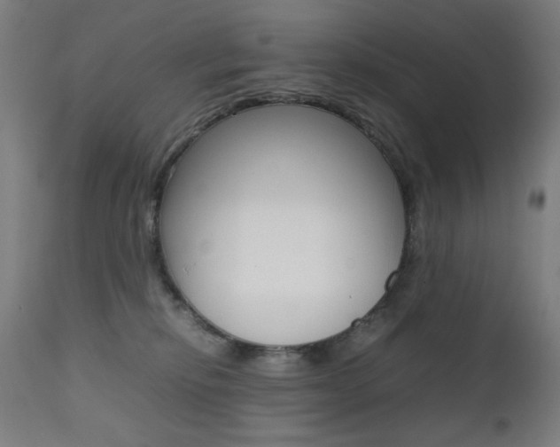 X0000112090278200908041055