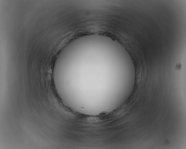 X0000112090279200908041055