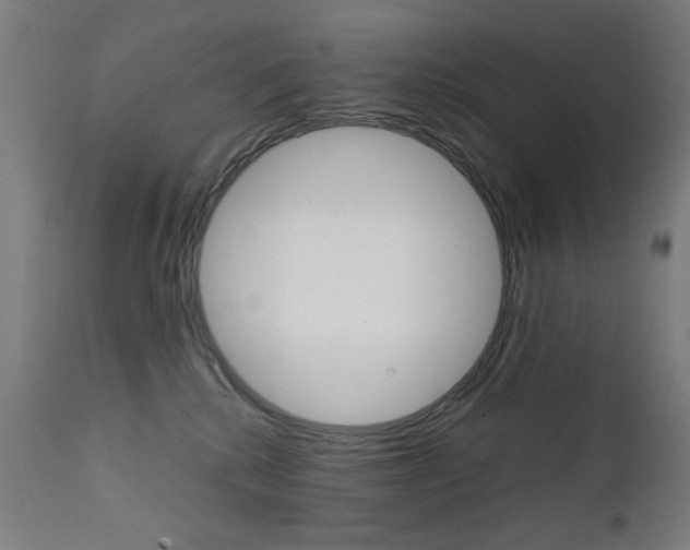 X0000112090280200908041055