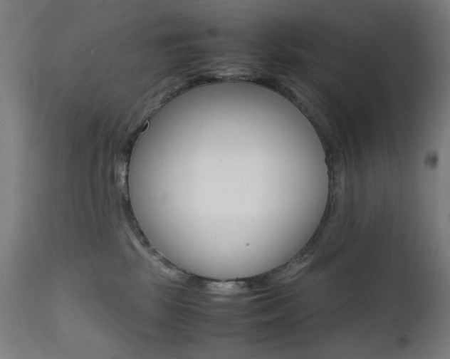 X0000112090281200908041055