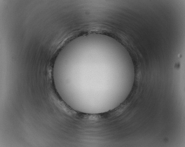 X0000112090282200908041055