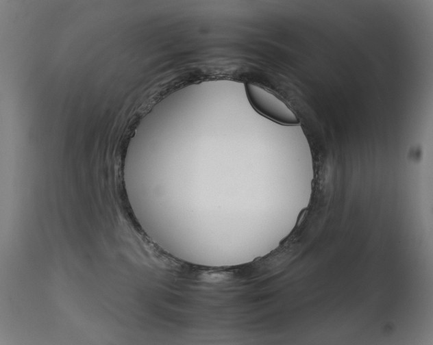 X0000112090283200908041055