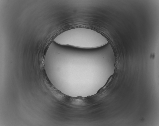 X0000112090285200908041055