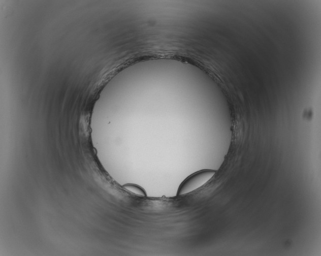 X0000112090286200908041055