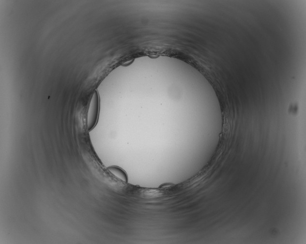 X0000112090287200908041055